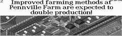 Farm doubles production